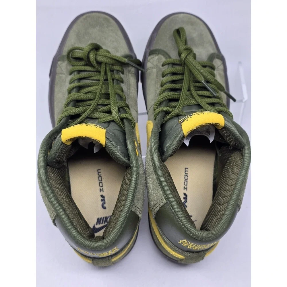Nike sb anti